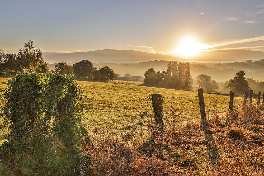Spain-Galicia Early morning on the Camino de Santiago near Vilei-Spain art print by Hollice Looney for $57.95 CAD