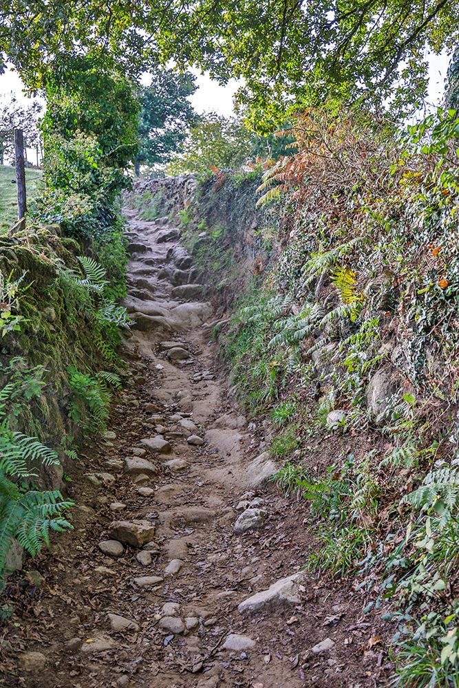 Spain-Galicia Rocky path on the Camino de Santiago between Ventras de Naron and Palas de Rei art print by Hollice Looney for $57.95 CAD