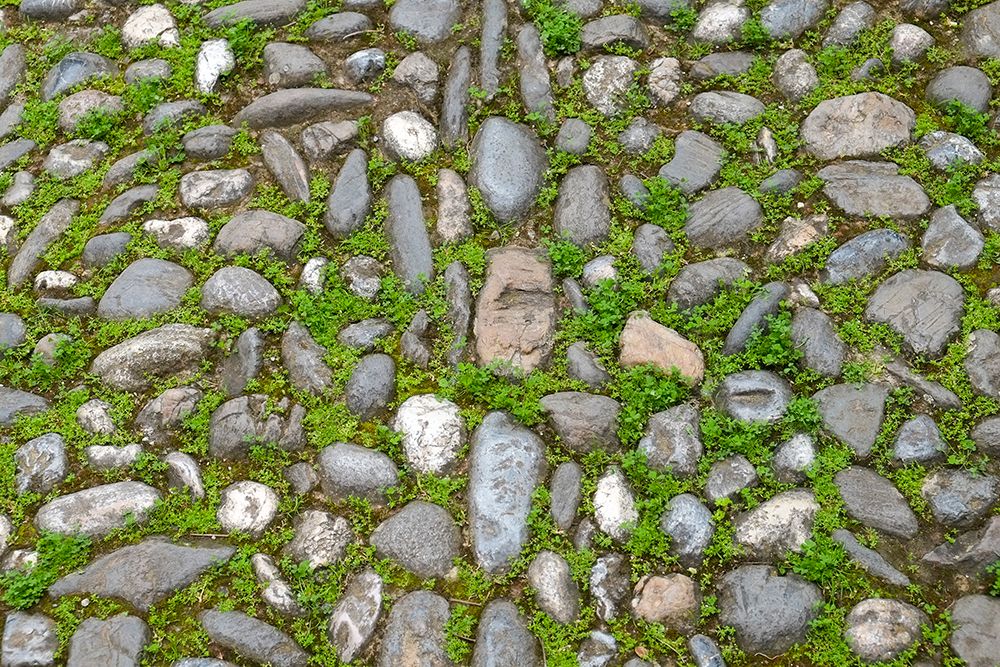 Granada-Spain. Ancient stone walkway with moss art print by Julien McRoberts for $57.95 CAD