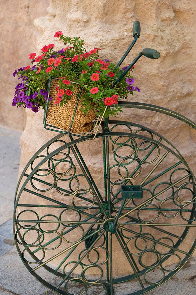 Cordoba-Spain. Bicycle planter in front of old stone building art print by Julien McRoberts for $57.95 CAD