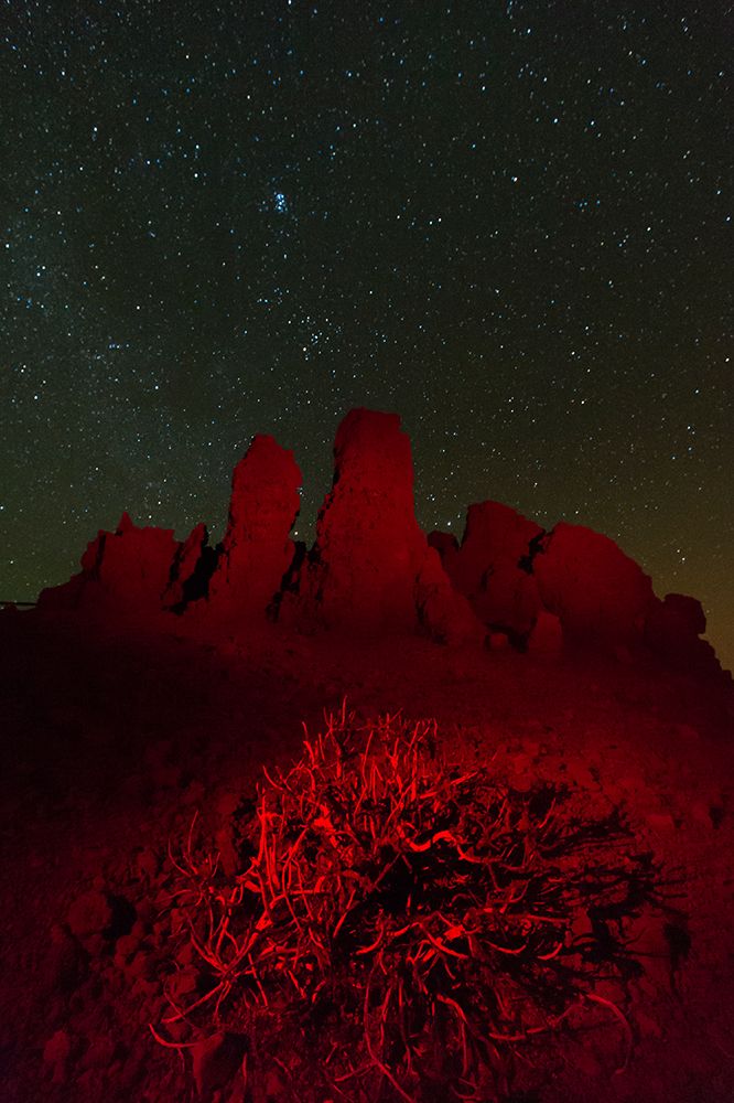 Roque de los Muchachos at night under a starry sky La Palma Island-Canary Islands-Spain art print by Sergio Pitamitz for $57.95 CAD