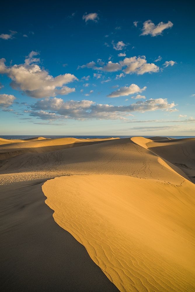 Spain-Canary Islands-Gran Canaria Island-Maspalomas-Maspalomas Dunes National Park art print by Walter Bibikow for $57.95 CAD