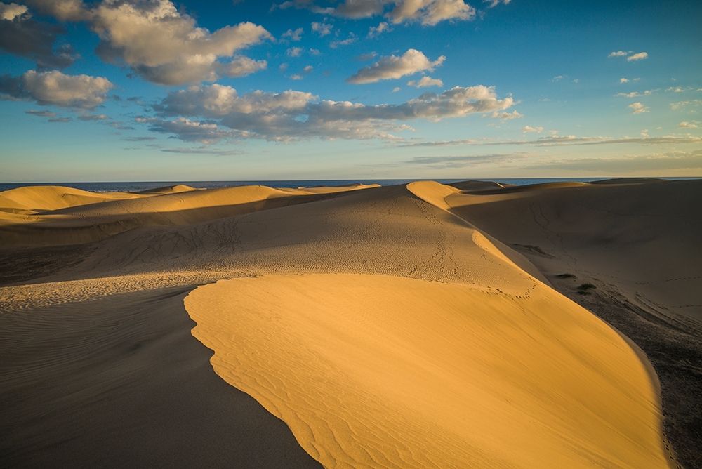 Spain-Canary Islands-Gran Canaria Island-Maspalomas-Maspalomas Dunes National Park art print by Walter Bibikow for $57.95 CAD