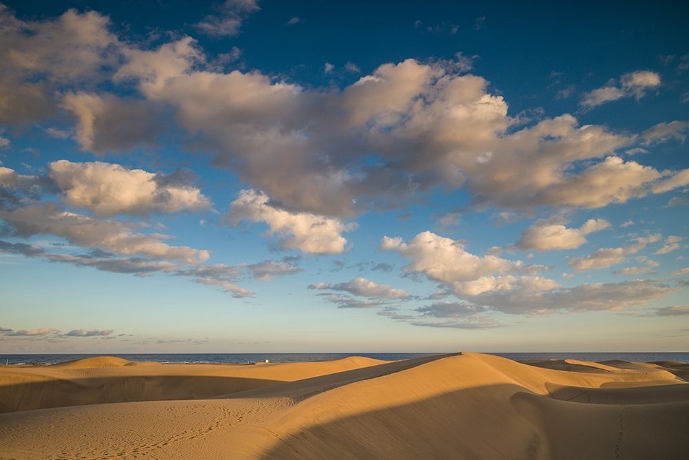 Spain-Canary Islands-Gran Canaria Island-Maspalomas-Maspalomas Dunes National Park art print by Walter Bibikow for $57.95 CAD