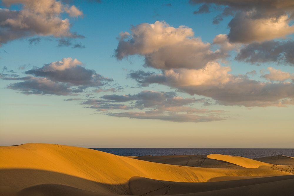 Spain-Canary Islands-Gran Canaria Island-Maspalomas-Maspalomas Dunes National Park art print by Walter Bibikow for $57.95 CAD