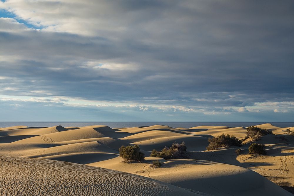 Spain-Canary Islands-Gran Canaria Island-Maspalomas-Maspalomas Dunes National Park art print by Walter Bibikow for $57.95 CAD