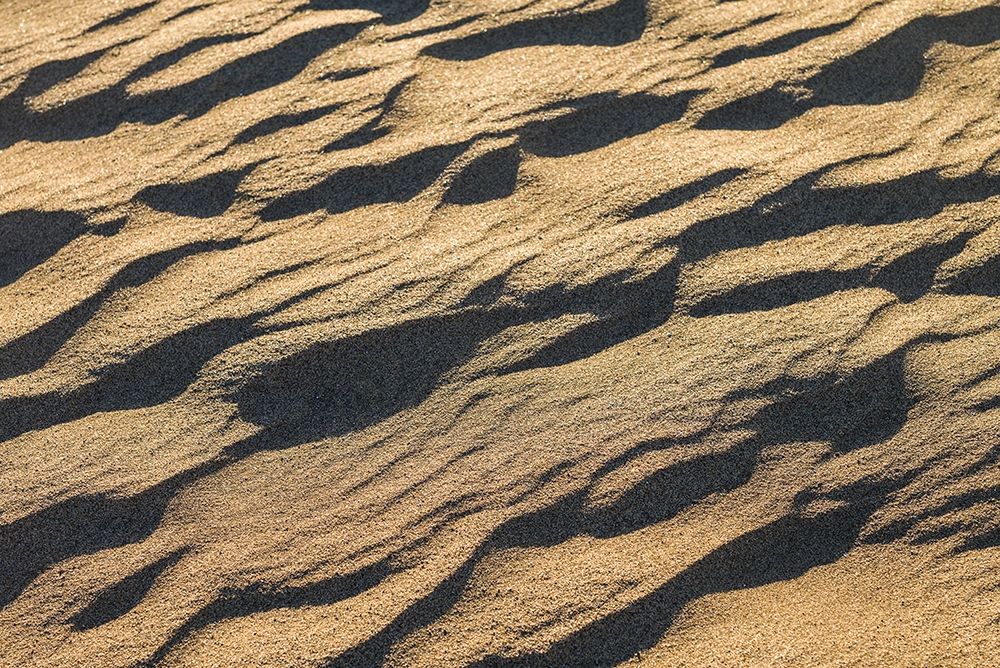Spain-Canary Islands-Gran Canaria Island-Maspalomas-Maspalomas Dunes National Park art print by Walter Bibikow for $57.95 CAD