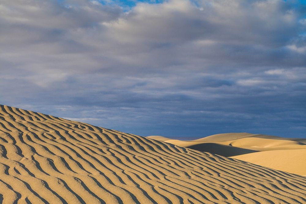 Spain-Canary Islands-Gran Canaria Island-Maspalomas-Maspalomas Dunes National Park art print by Walter Bibikow for $57.95 CAD