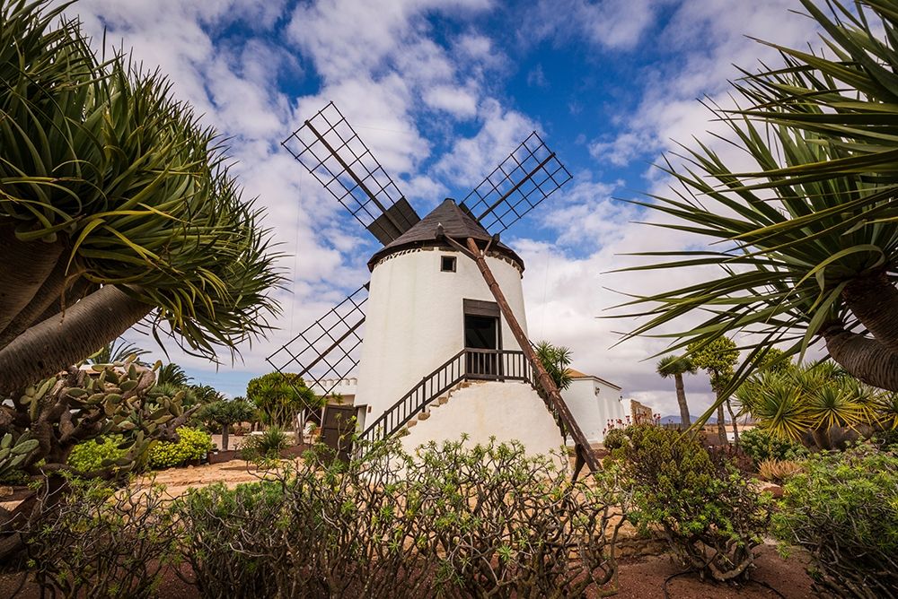Canary Islands-Fuerteventura Island-Antigua-traditional island windmill art print by Walter Bibikow for $57.95 CAD