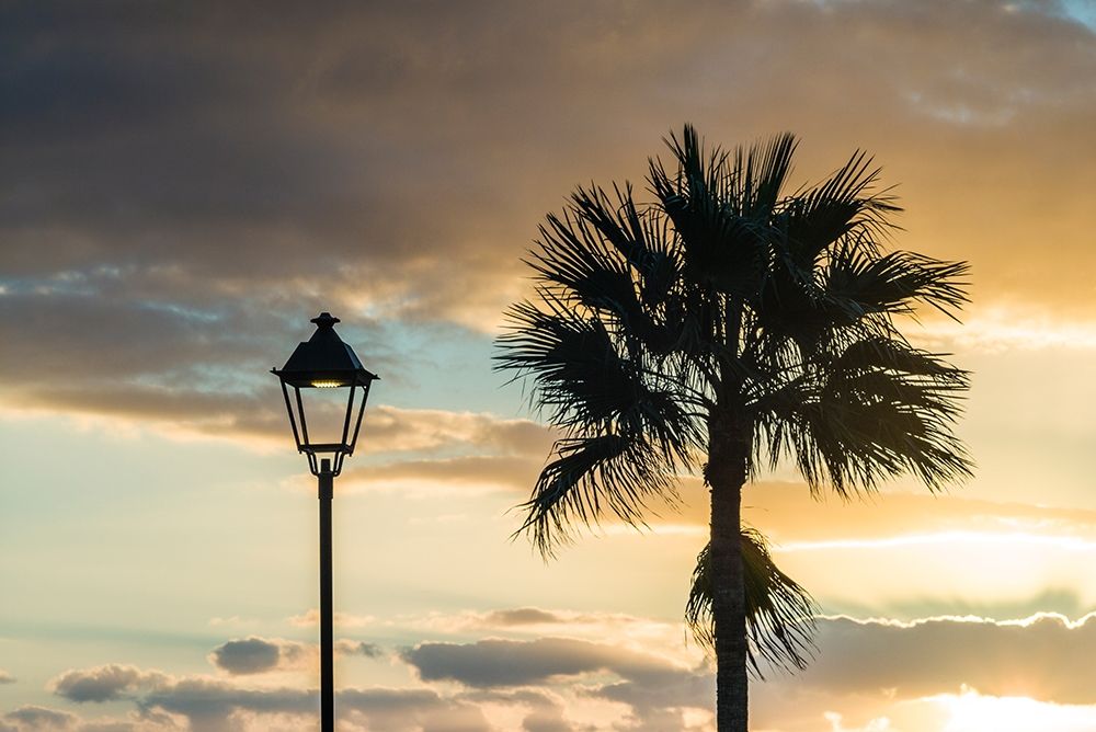 Canary Islands-Fuerteventura Island-Morro Jable-Playa del Matorral beach-palm tree art print by Walter Bibikow for $57.95 CAD