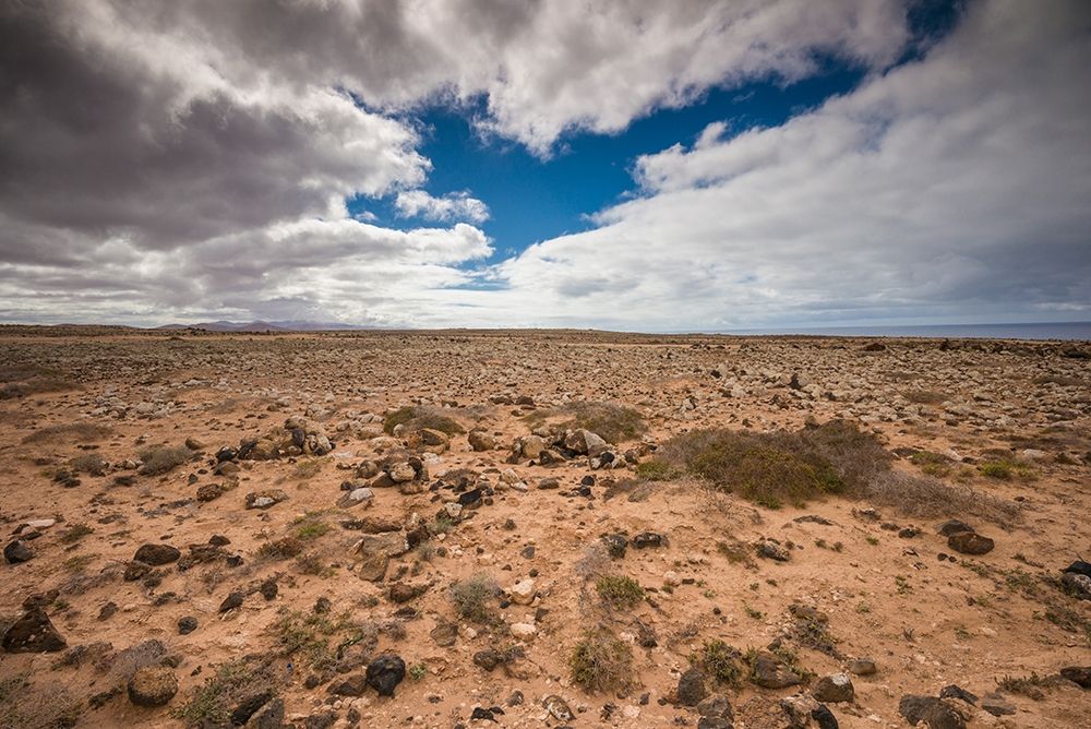 Canary Islands-Fuerteventura Island-Punto de Paso Chico-west coast desert landscape art print by Walter Bibikow for $57.95 CAD