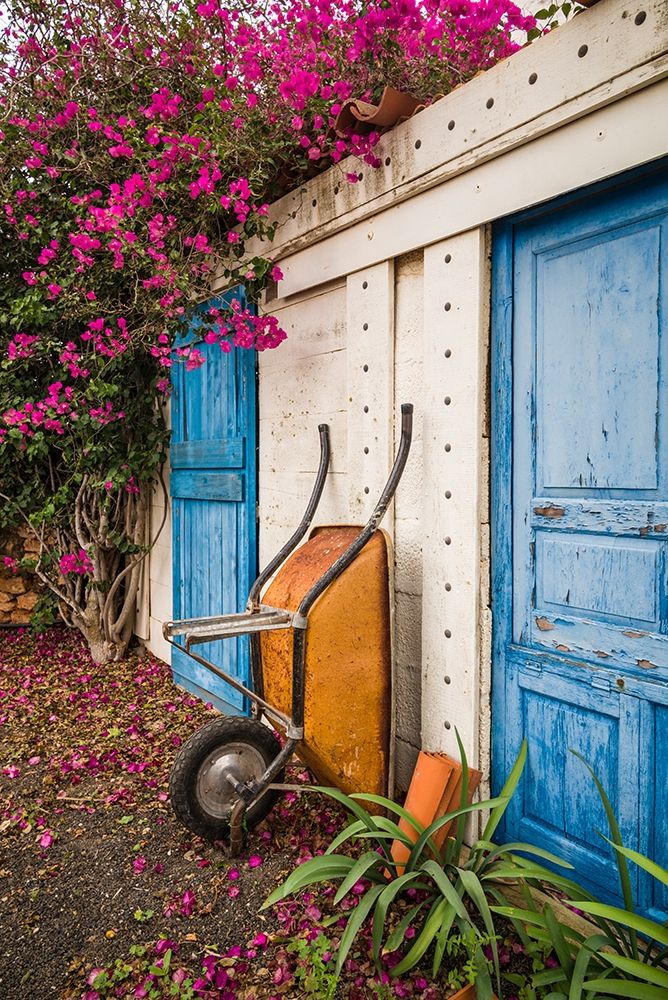 Canary Islands-Fuerteventura Island-La Oliva-blue door of garden shed art print by Walter Bibikow for $57.95 CAD