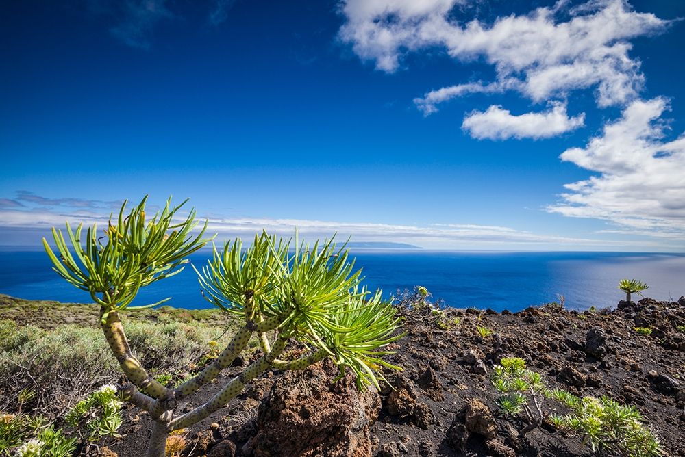 Canary Islands-La Palma Island-Fuencaliente de la Palma-Punta de Fuencaliente-volcanic landscape art print by Walter Bibikow for $57.95 CAD