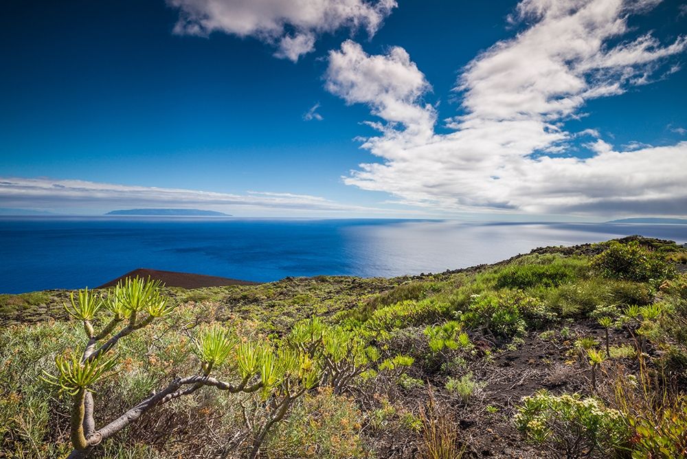 Canary Islands-La Palma Island-Fuencaliente de la Palma-Punta de Fuencaliente-volcanic landscape art print by Walter Bibikow for $57.95 CAD