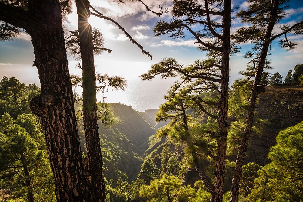 Canary Islands-La Palma Island-Mirador de Garome-elevated coastal view art print by Walter Bibikow for $57.95 CAD