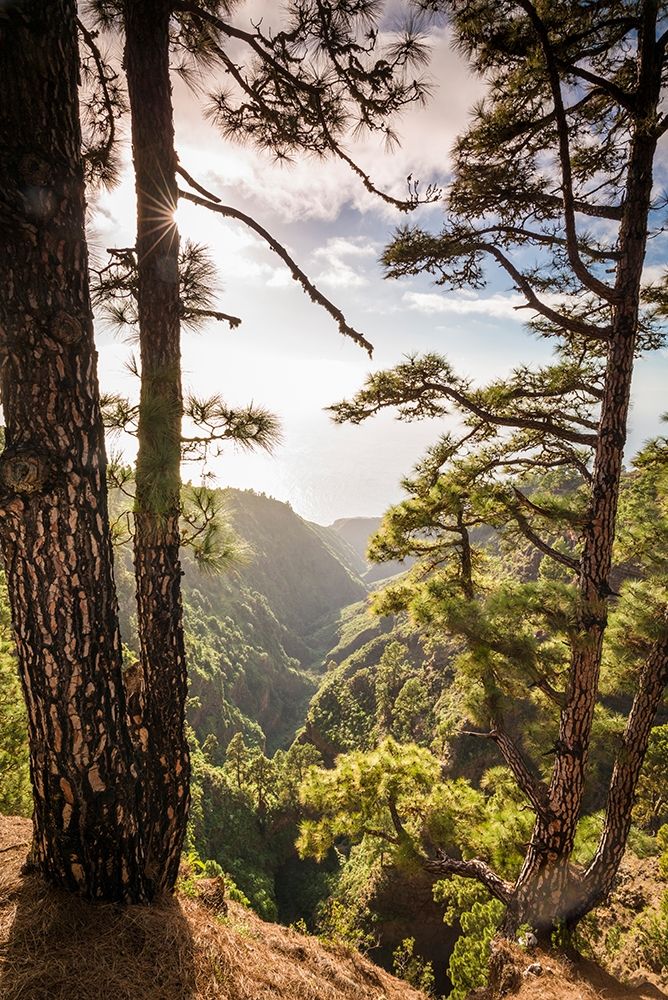 Canary Islands-La Palma Island-Mirador de Garome-elevated coastal view art print by Walter Bibikow for $57.95 CAD