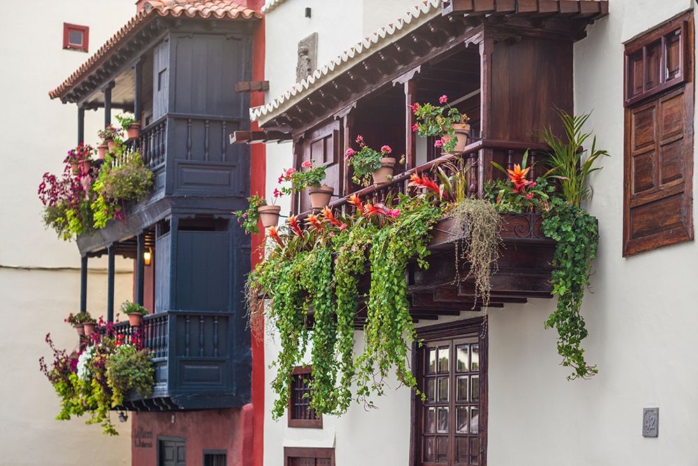 Canary Islands-La Palma Island-Santa Cruz de la Palma-traditional Canarian house balconies art print by Walter Bibikow for $57.95 CAD