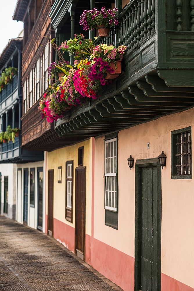Canary Islands-La Palma Island-Santa Cruz de la Palma-traditional Canarian house balconies art print by Walter Bibikow for $57.95 CAD