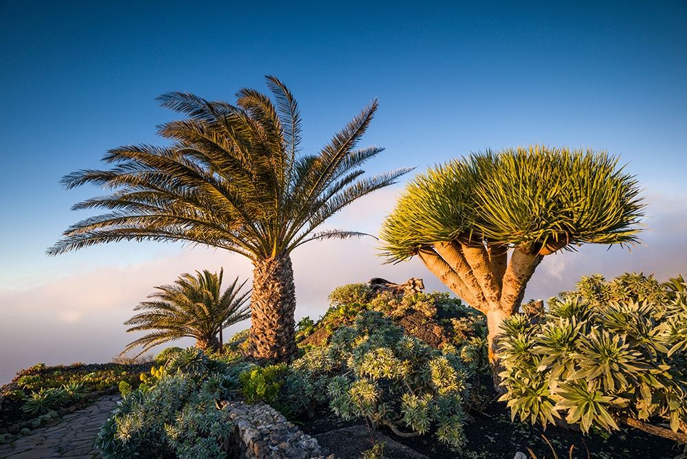 Canary Islands-El Hierro Island-Guarazoca-Mirador de la Pena art print by Walter Bibikow for $57.95 CAD
