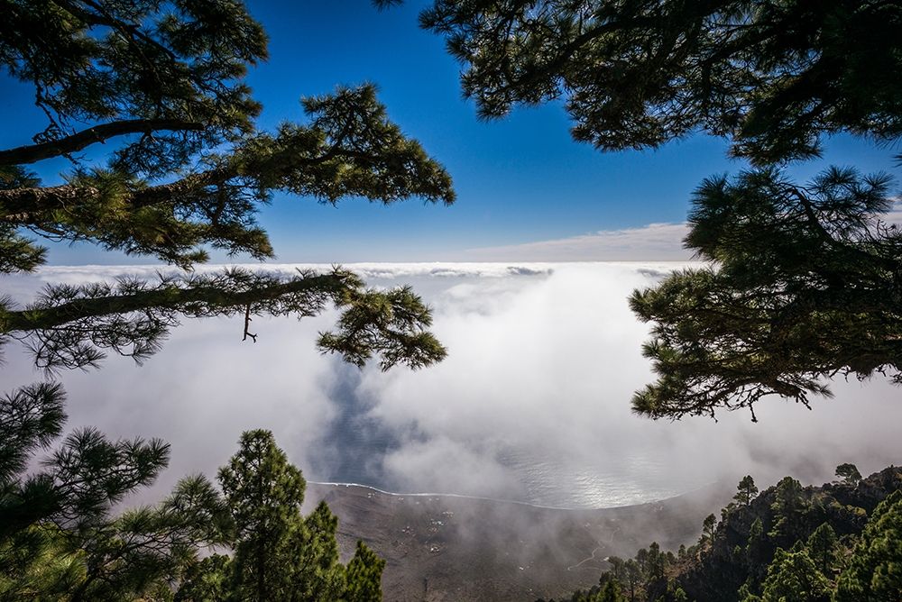 Canary Islands-El Hierro Island-Mirador de las Playas-elevated view of the east coast with fog art print by Walter Bibikow for $57.95 CAD