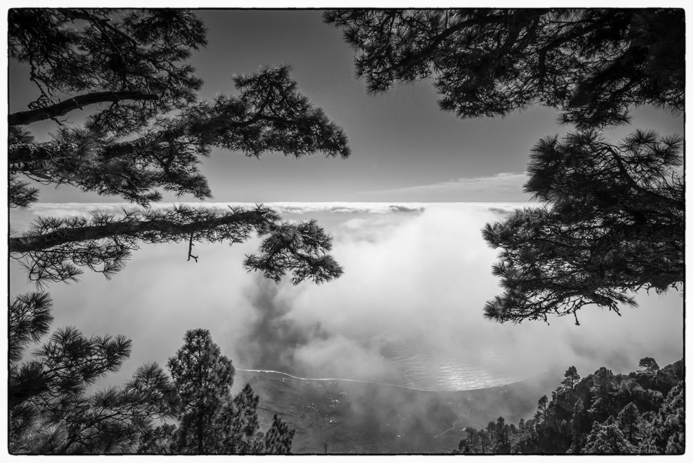 Canary Islands-El Hierro Island-Mirador de las Playas-elevated view of the east coast with fog art print by Walter Bibikow for $57.95 CAD