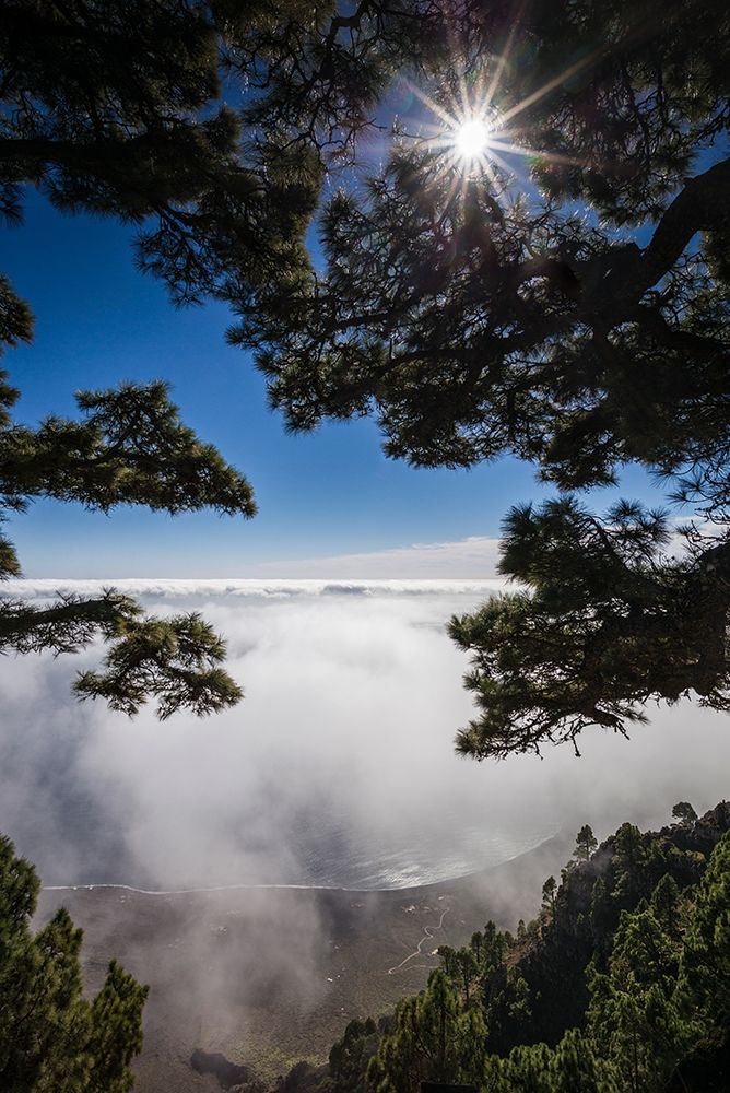 Canary Islands-El Hierro Island-Mirador de las Playas-elevated view of the east coast with fog art print by Walter Bibikow for $57.95 CAD