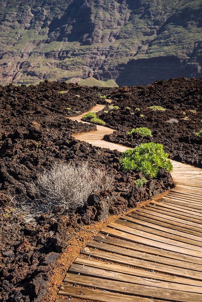 Canary Islands-El Hierro Island-Las Puntas-La Maceta-coastal walkway art print by Walter Bibikow for $57.95 CAD