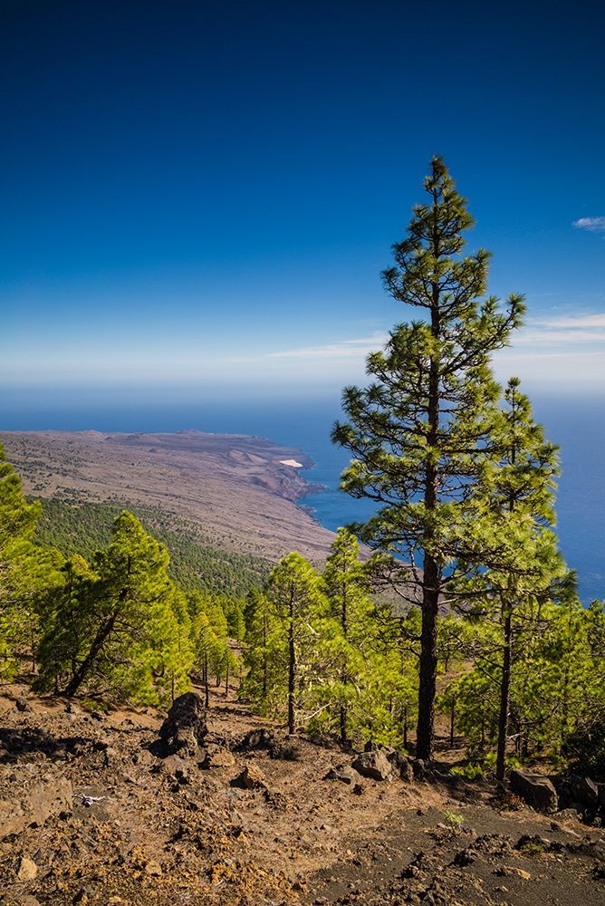 Canary Islands-El Hierro Island-Malpaso Mountain-elevation 1503 meters art print by Walter Bibikow for $57.95 CAD