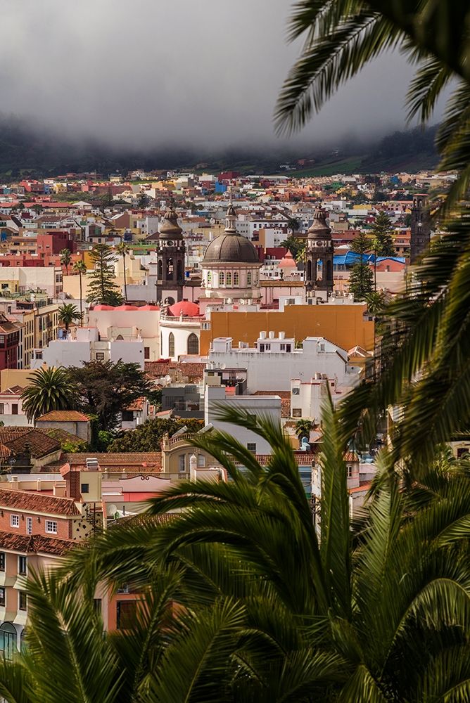 Canary Islands-Tenerife Island-San Cristobal de La Laguna-elevated view of the historical center art print by Walter Bibikow for $57.95 CAD