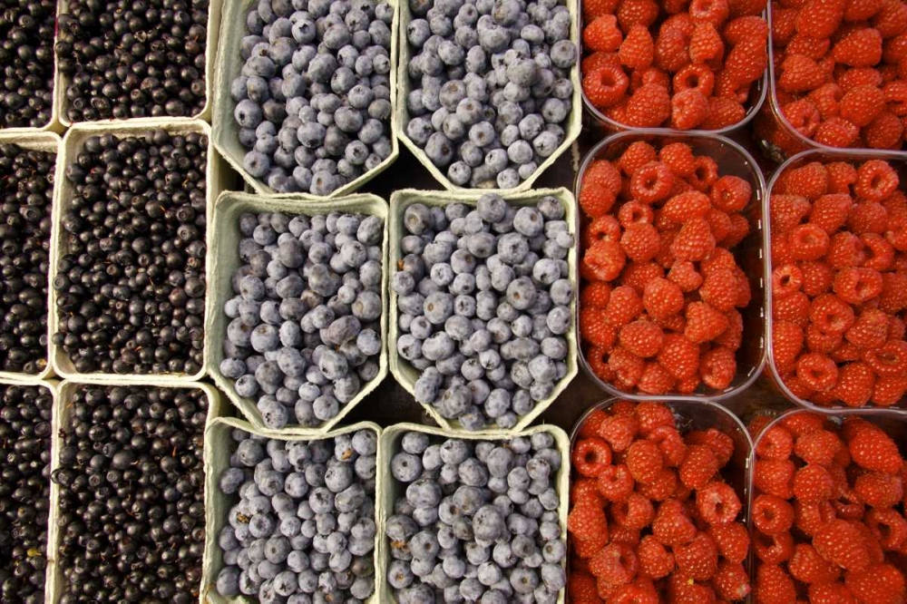 Sweden, Stockholm Berries at the Outdoor Market art print by Nancy, Steve Ross for $57.95 CAD