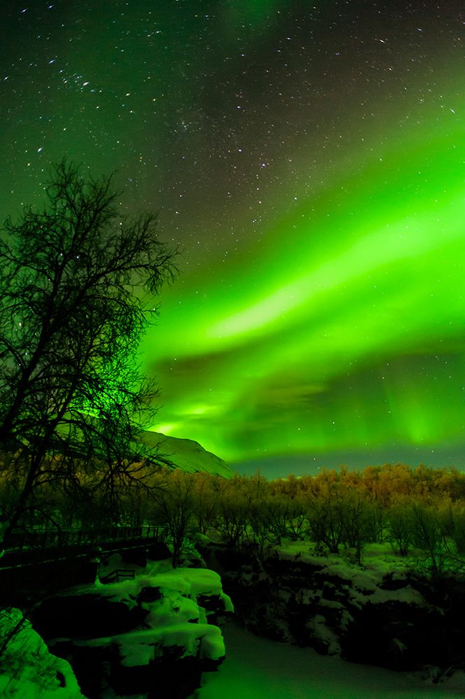 Sweden-Norrbotten-Abisko. Aurora Borealis (Northern Lights) over Abisko Canyon. art print by Fredrik Norrsell for $57.95 CAD