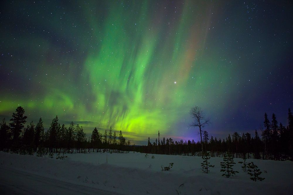 Abisko-Sweden. Chasing the Northern Lights (Aurora Borealis) in Swedish Lapland. art print by Micah Wright for $57.95 CAD