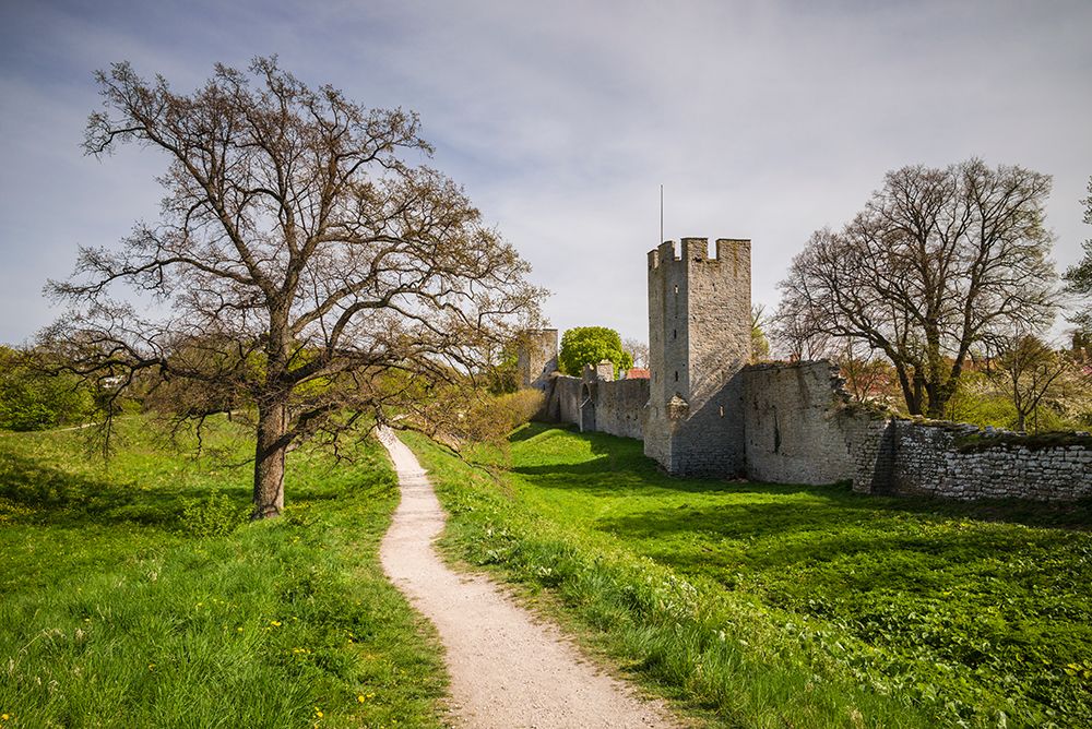 Sweden-Gotland Island-Visby-12th century city wall-most complete medieval city wall in Europe art print by Walter Bibikow for $57.95 CAD