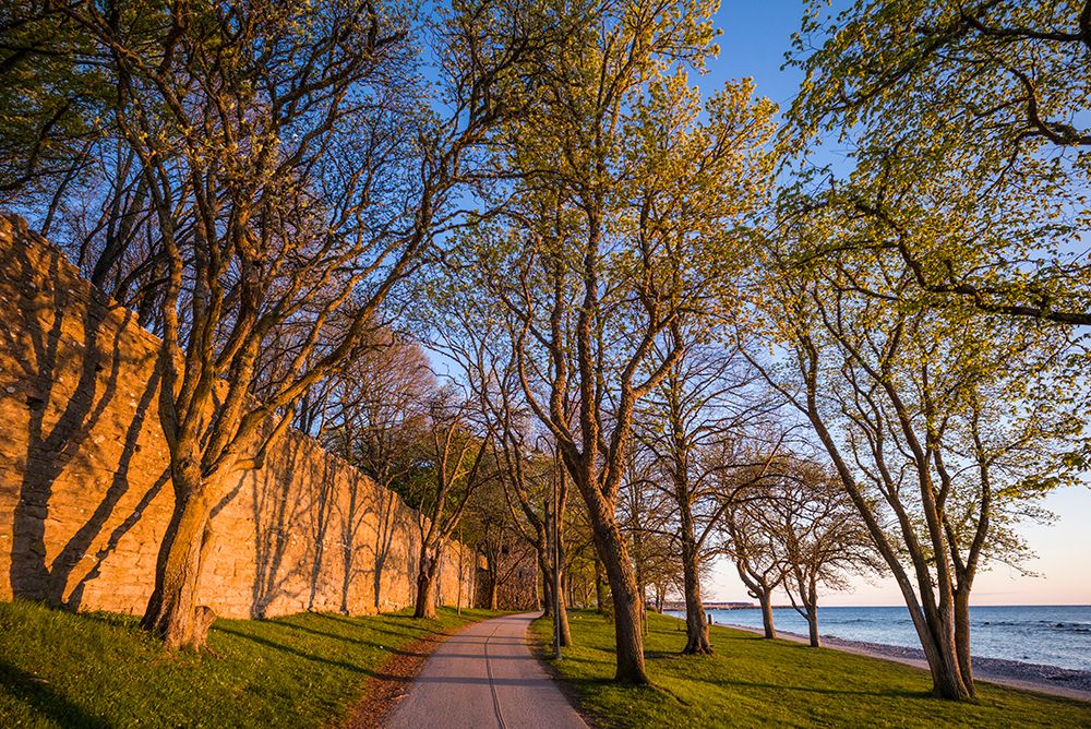 Sweden-Gotland Island-Visby-12th century city wall-most complete medieval city wall in Europe-sunse art print by Walter Bibikow for $57.95 CAD