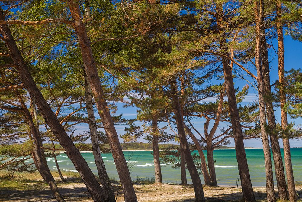 Sweden-Faro Island-Fifang-view of Ajkesvik Bay art print by Walter Bibikow for $57.95 CAD