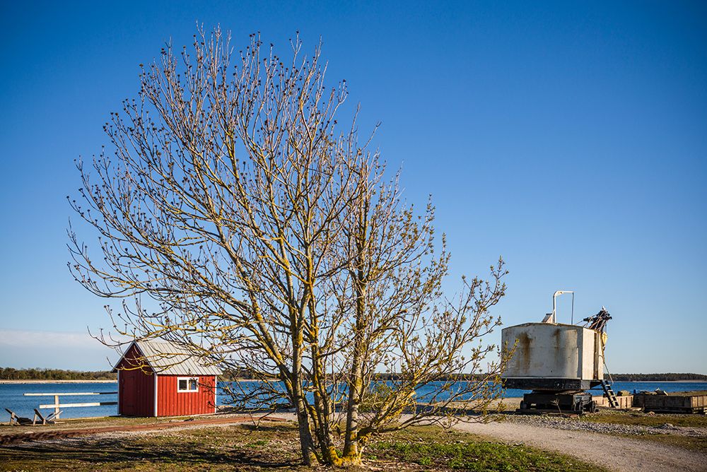 Sweden-Gotland Island-Blase-former lime factory-steam shovel art print by Walter Bibikow for $57.95 CAD