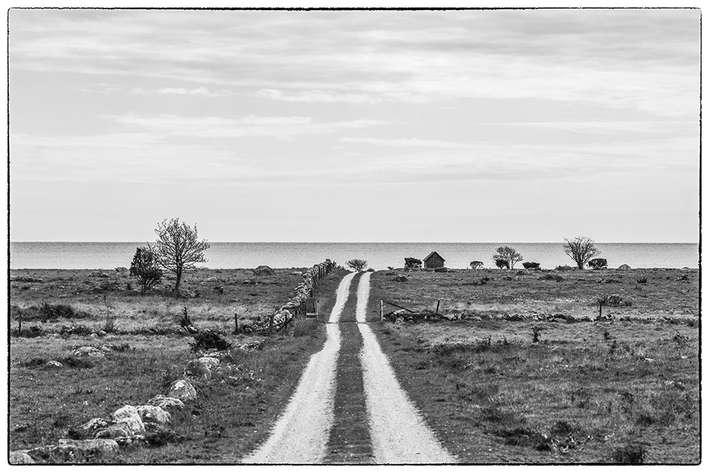 Sweden-Gotland Island-Sundre-country road-southern Gotland art print by Walter Bibikow for $57.95 CAD