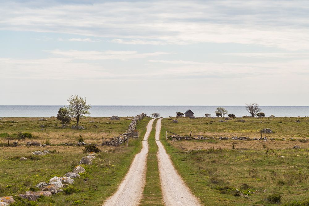 Sweden-Gotland Island-Sundre-country road-southern Gotland art print by Walter Bibikow for $57.95 CAD
