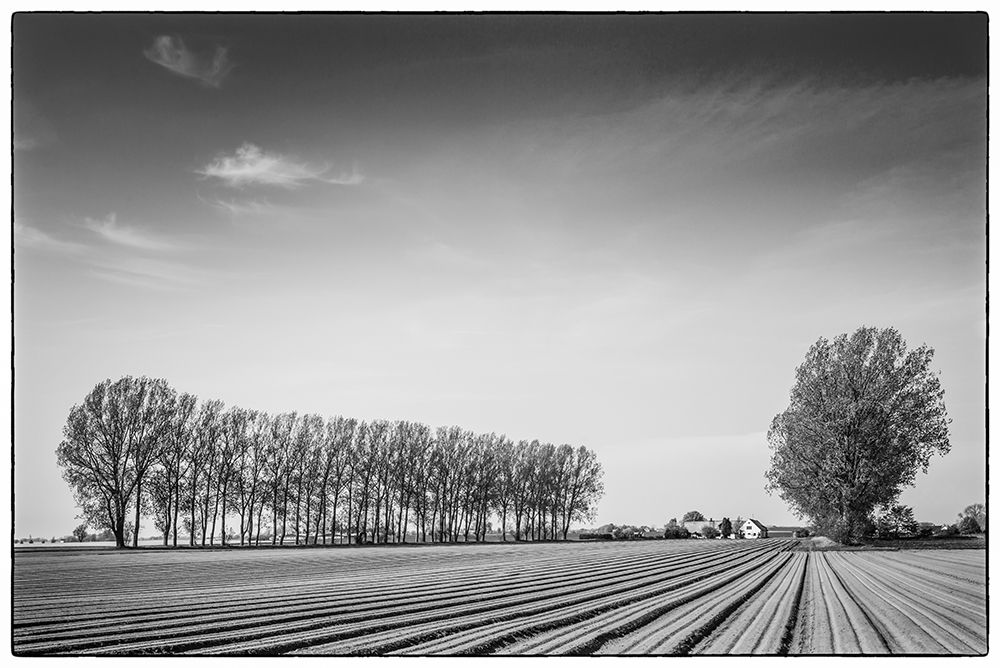 Southern Sweden-Kaseberga-plowed field-springtime art print by Walter Bibikow for $57.95 CAD