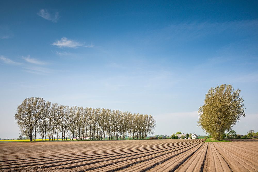 Southern Sweden-Kaseberga-plowed field-springtime art print by Walter Bibikow for $57.95 CAD