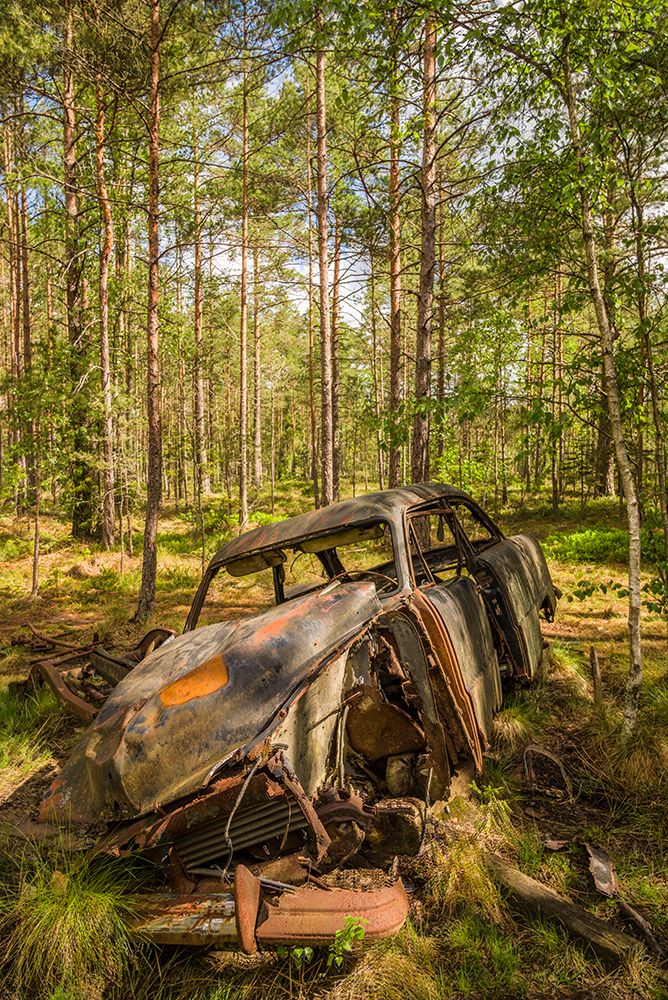Sweden-Smaland-Ryd-Kyrko Mosse Car Cemetery-former junkyard now pubic park-junked cars art print by Walter Bibikow for $57.95 CAD