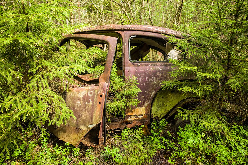 Sweden-Smaland-Ryd-Kyrko Mosse Car Cemetery-former junkyard now pubic park-junked cars art print by Walter Bibikow for $57.95 CAD