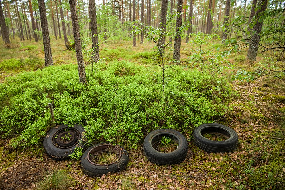 Sweden-Smaland-Ryd-Kyrko Mosse Car Cemetery-former junkyard now pubic park-old tires art print by Walter Bibikow for $57.95 CAD