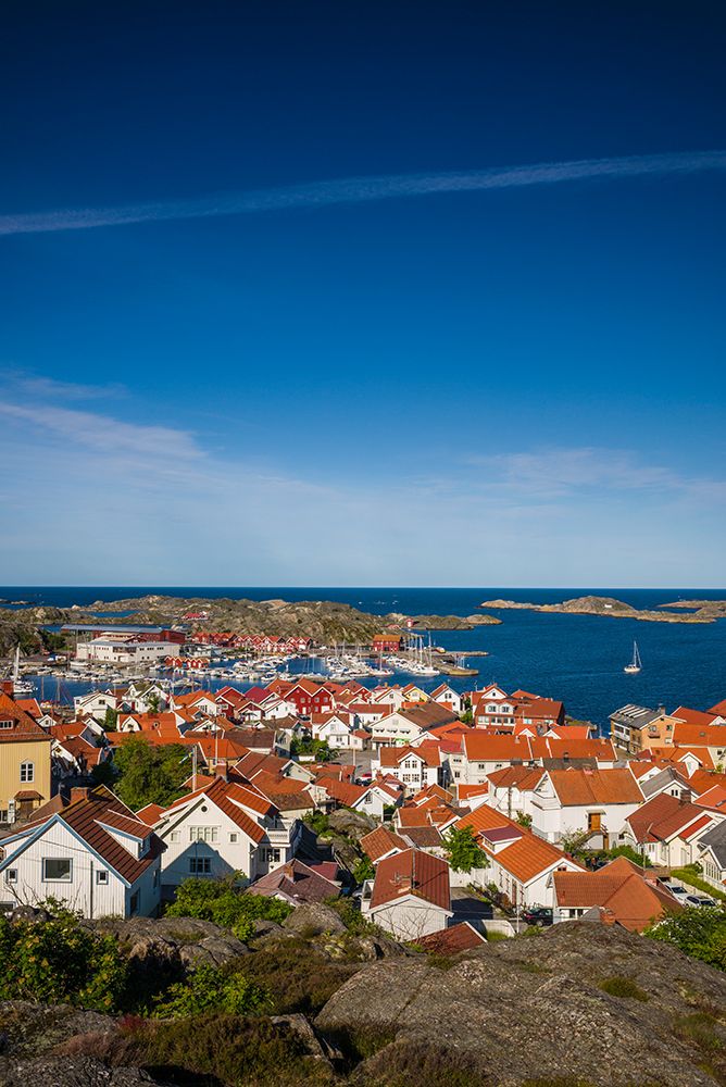 Sweden-Bohuslan-Tjorn Island-Skarhamn-town view-dawn art print by Walter Bibikow for $57.95 CAD