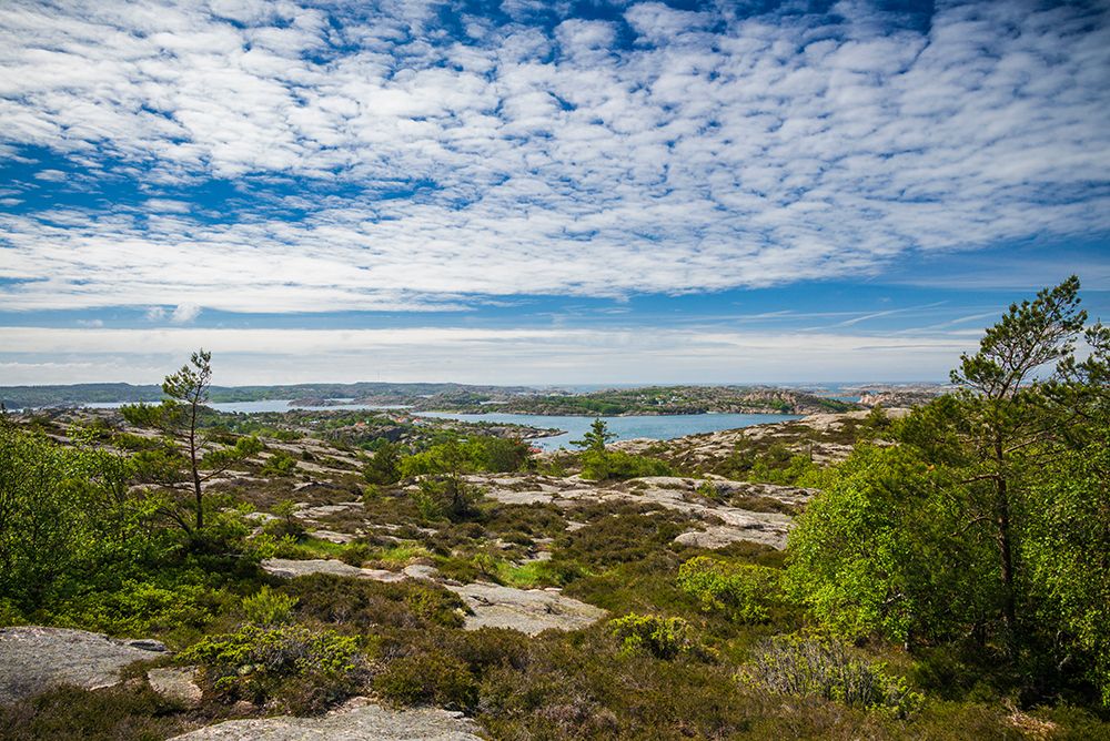 Sweden-Bohuslan-Fjallbacka-the Vetteberget cliff art print by Walter Bibikow for $57.95 CAD