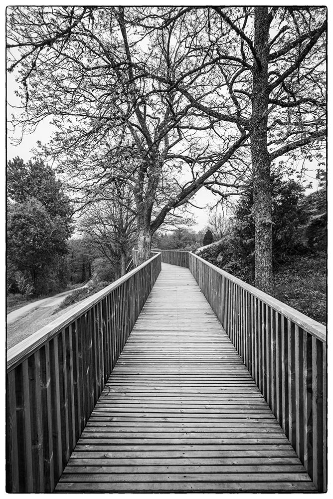 Sweden-Bohuslan-Tanumshede-Tanum Area-walkway to Bronze Age carvings art print by Walter Bibikow for $57.95 CAD