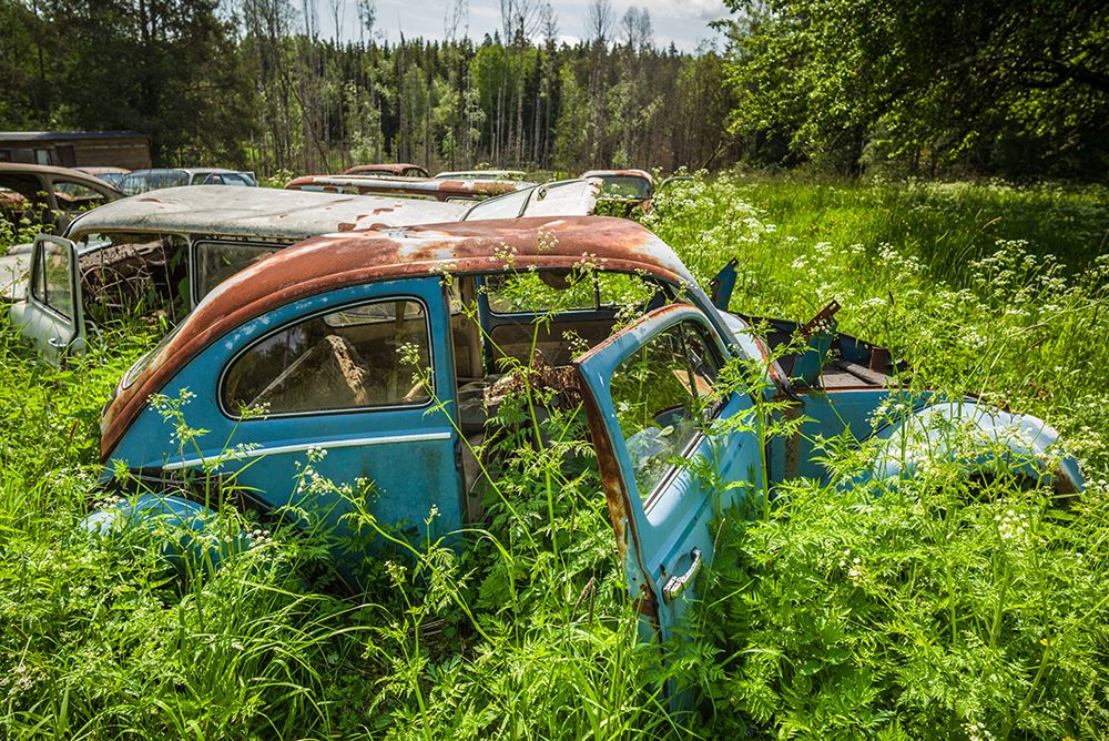 Sweden-Varmland-Bastnas-Bastnas Car Cemetery public park-antique car junkyard art print by Walter Bibikow for $57.95 CAD