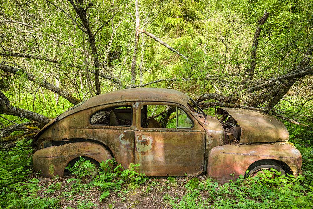 Sweden-Varmland-Bastnas-Bastnas Car Cemetery public park-antique car junkyard art print by Walter Bibikow for $57.95 CAD