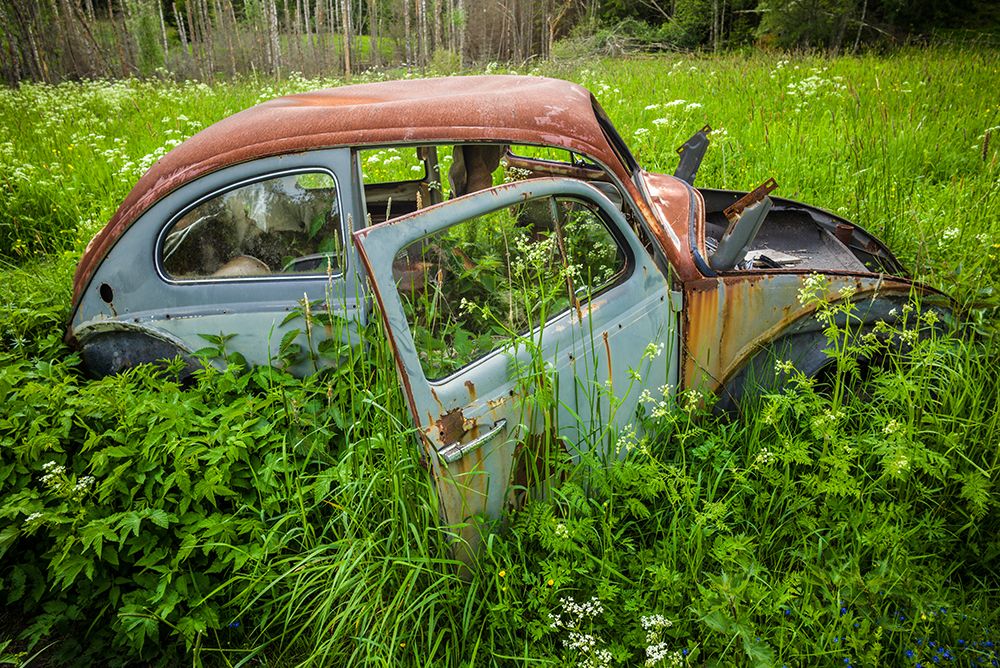 Sweden-Varmland-Bastnas-Bastnas Car Cemetery public park-antique car junkyard art print by Walter Bibikow for $57.95 CAD