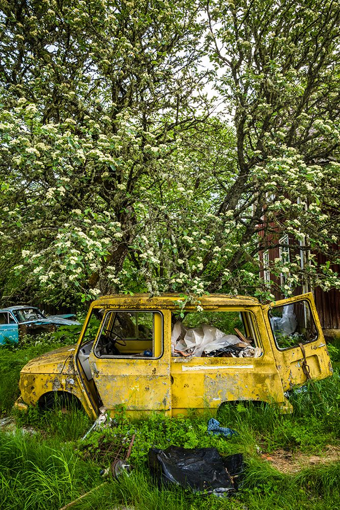 Sweden-Varmland-Bastnas-Bastnas Car Cemetery public park-antique car junkyard art print by Walter Bibikow for $57.95 CAD